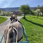 Zajacowka *