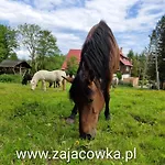 Zajacowka 팜스테이 *