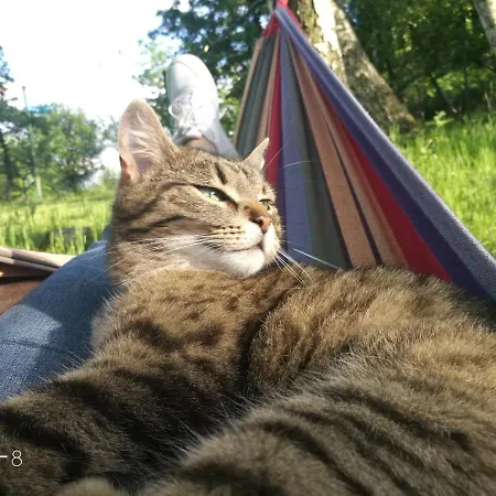 ファームステイ Zajacowka ポラニツァ・ズドゥルイ