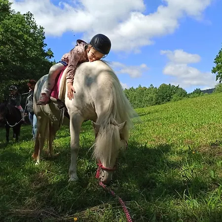 Zającówka Agroturismo Polanica-Zdrój