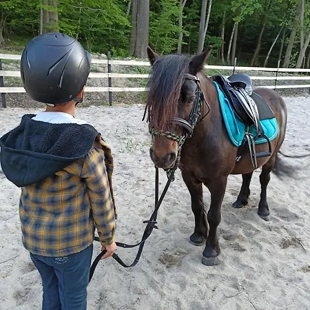 Zajacowka ファームステイ