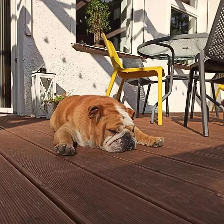 Agroturismo Zającówka Polanica-Zdrój