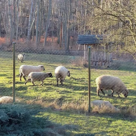 Zajacowka Bauernhof *