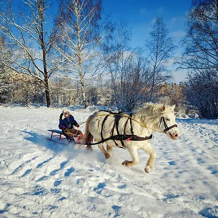 Farm stay Zajacowka Polanica-Zdroj