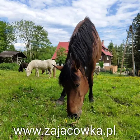 Zajacowka Bauernhof *