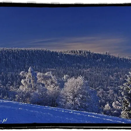 Farm stay Zajacowka *