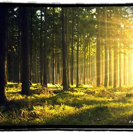 Zajacowka Поляница-Здруй