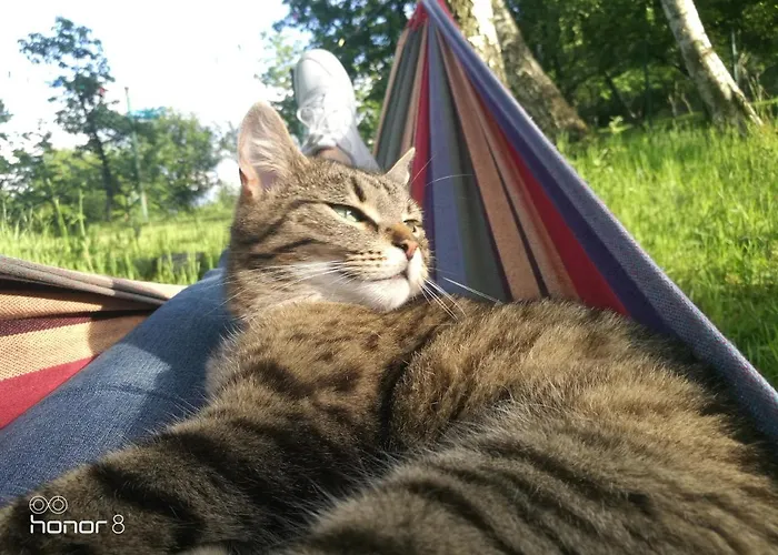 Bauernhof Zajacowka Bad Altheide