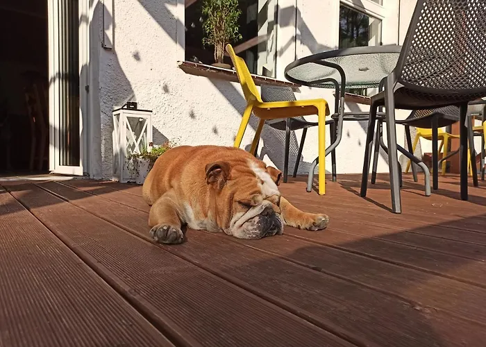 Bauernhof Zajacowka Bad Altheide