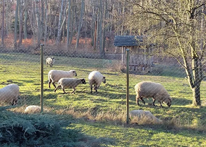Zajacowka Bauernhof *