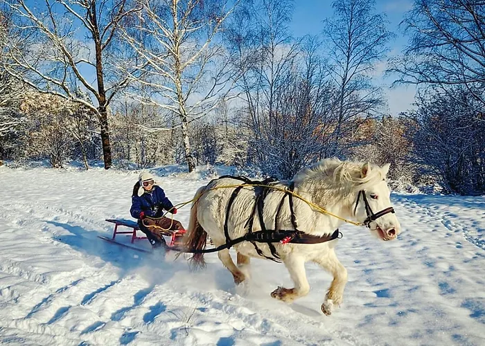 Bauernhof Zajacowka Bad Altheide