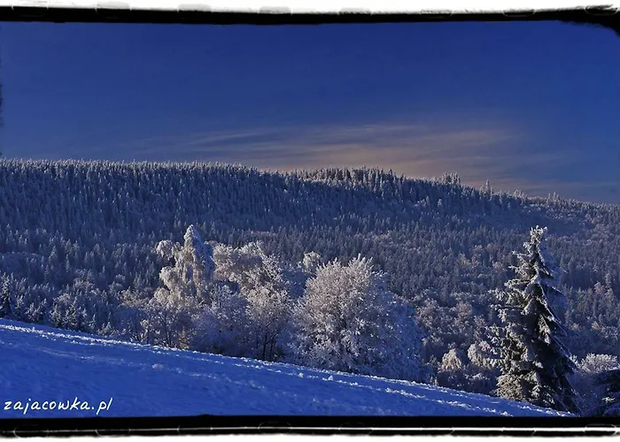 Bauernhof Zajacowka *